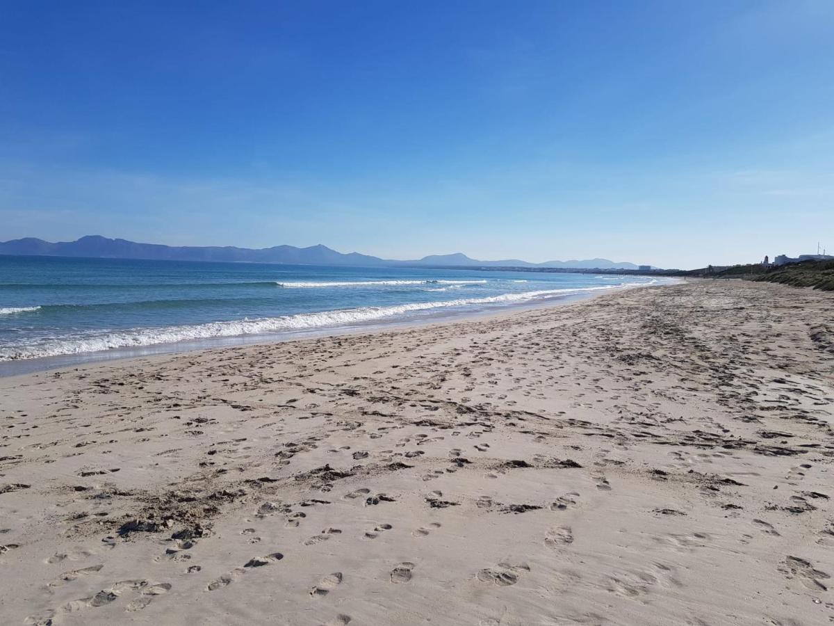 Ideal Property Mallorca - Nenufars Alcudia  Bagian luar foto